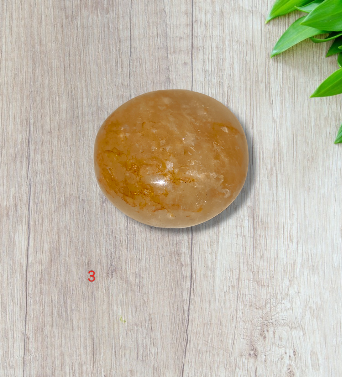 Golden Healer Palm stones